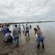 BP Waterworks Joins Coastal Clean-Up Drive 2025